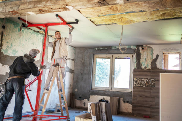 Best Insulation Maintenance and Repair in Robert Lee, TX
