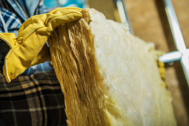 Best Insulation Installation Services in Robert Lee, TX