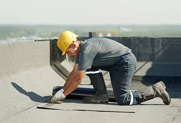 Best Specialty Insulation in Robert Lee, TX
