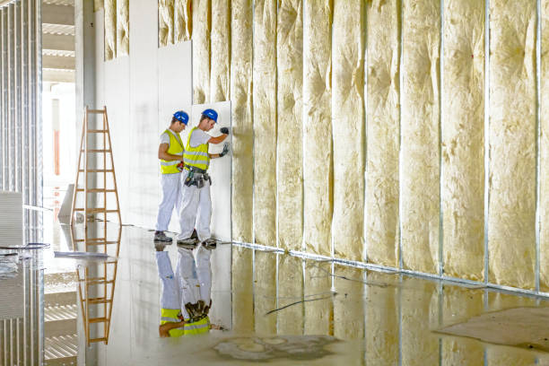 Best Types of Insulation in Robert Lee, TX